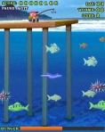 Shark bait