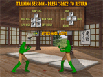 Bushido fighters