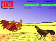 Cock fighters