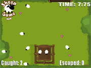 Sheep game