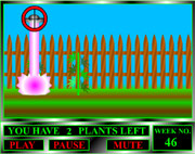 Ganja farm