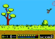 Duck hunt