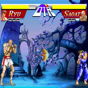 Street fighter