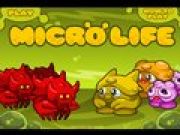 Micro life