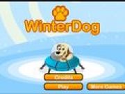 Winter dog