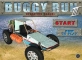 buggy run