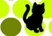Cat prison