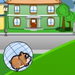 Downhill hamsterball