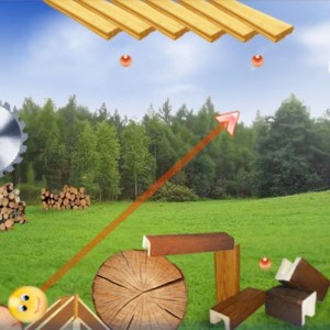 Forest fidget