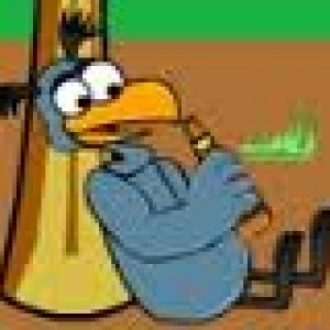 Birdinator