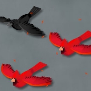 Young cardinals