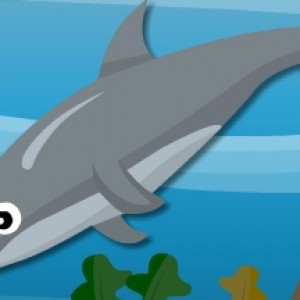 Dolphin dive