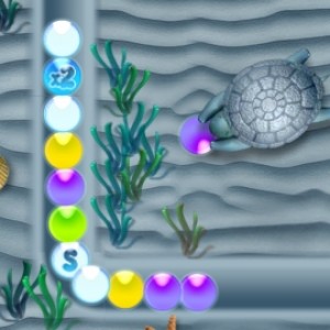Hasty turtle