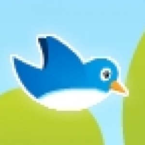 Tweet tweet