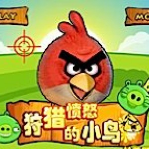 Angry birds hunting