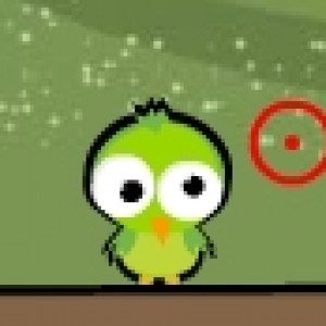 Angry birds missile