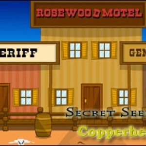 Secret seekers - copperhead