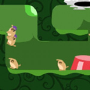 Gerbils