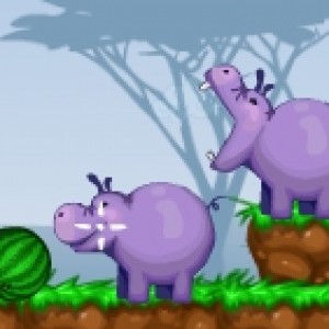 Hippos feeder