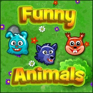 Funny animals