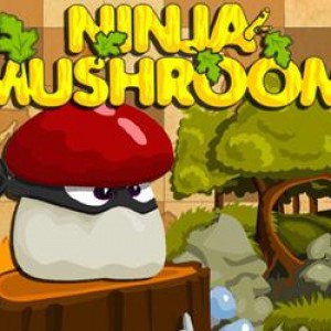 Ninja mushroom