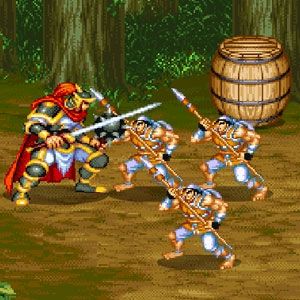 Dynasty fighter 5