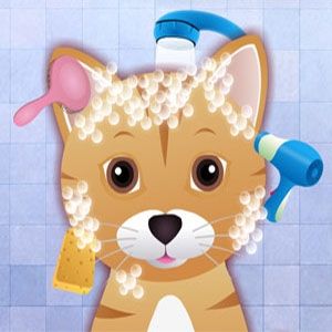 Kitty grooming salon