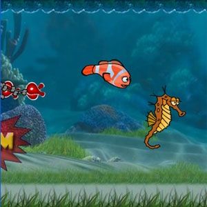 Fish racing